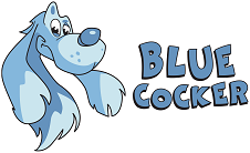 Jeux de Société - Blue Cocker - 90 minutes Jeux de Société - Blue Cocker - 90 minutes
