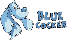 Blue Cocker